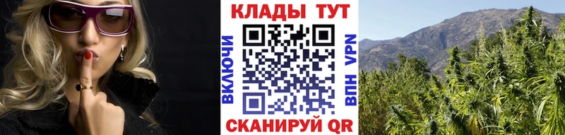 Купить Alpha-PVP  Галлюциногенные грибы  COCAIN  Меф  ГАШИШ  Канабис  Бородино