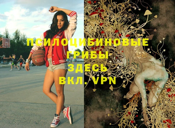 герыч Кинешма