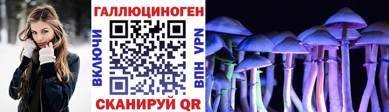 Галлюциногенные грибы GOLDEN TEACHER  Купить где  Бородино 